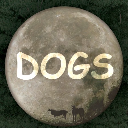 DOGS 6.12.2019